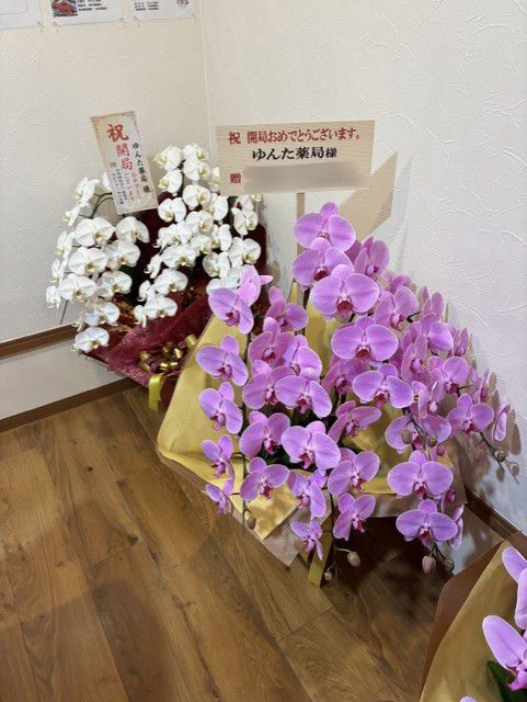開局のお祝い・頂きもの