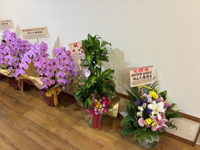 開局のお祝い・頂きもの