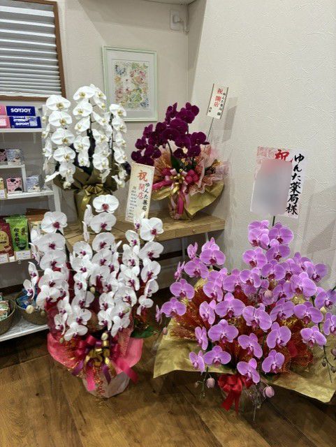 開局のお祝い・頂きもの