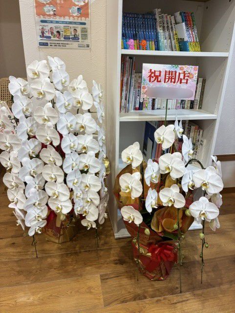 開局のお祝い・頂きもの