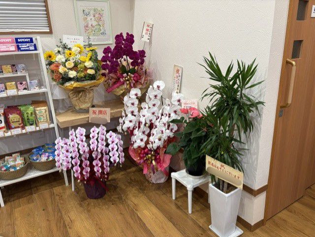 開局のお祝い・頂きもの